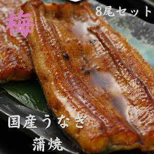 ᑗ8HZbgy~zY120g×8@ȂÉ ȂĂ@YVyYaȂzy]ˑOzyYĂzy^tzy񂵂傤tzyp̉N̓ av[g