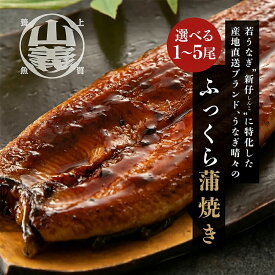 『うなぎ晴々』 希少な若うなぎ 160g以上保証 養殖場直送 豊橋産 国産うなぎ 蒲焼 新仔うなぎ ギフト 母の日 父の日 お中元 お歳暮 敬老の日 内祝 御祝 誕生日 プレゼント お取り寄せグルメ 冷凍 送料無料