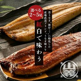 『うなぎ晴々』 希少な若うなぎ 160g以上保証 養殖場直送 豊橋産 国産うなぎ 蒲焼 白焼 食べ比べ 紅白セット 新仔うなぎ ギフト 母の日 父の日 お中元 お歳暮 敬老の日 内祝 御祝 誕生日 プレゼント お取り寄せグルメ 冷凍 送料無料