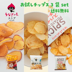 お試しsetチップス3袋（3種×各1袋）熟成さつまいもの芋けんぴとご当地チップスのセット 浜松土産にもおすすめ 送料無料】【常温配送】冷蔵品／冷凍品との同梱ok