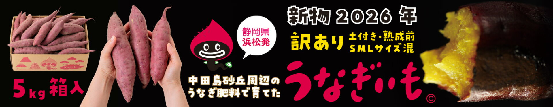 うなぎいも 訳あり新さつまいも5kg