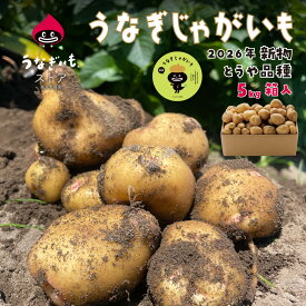 【2箱購入で送料無料】新じゃがいも5kg正規秀品 静岡県産 農家直送 ほっこり甘い とうや品種 黄爵 2箱まで同梱可【他商品同梱不可】【静岡県産うなぎじゃがいも】