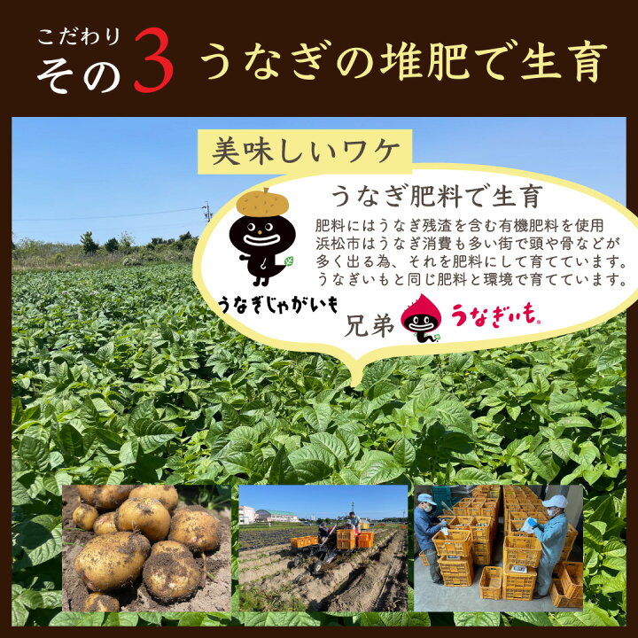 楽天市場】【2箱購入で送料無料】新じゃがいも5kg正規秀品 静岡県産 