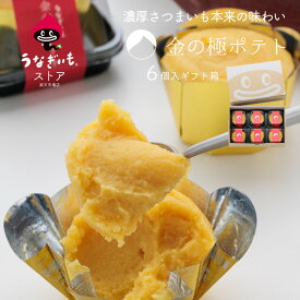【6/21父の日ギフト 対応可】金の極ポテト スイートポテト個包装 6個ギフト箱セット 浜松土産にもおすすめ【静岡県産うなぎいも使用】【冷凍配送】【送料無料】常温品／冷蔵品との同梱不可