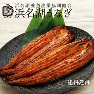 浜名湖うなぎ【真空長蒲焼2枚入】タレ＆山椒付 うなぎの蒲焼き うなぎの通販 お手軽 国産 静岡県 浜松 御…
