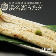 【母の日応援ポイント5倍】浜名湖うなぎ 真空長白焼2枚入タレ＆山椒付 うなぎの白焼き うなぎの通販 お手…