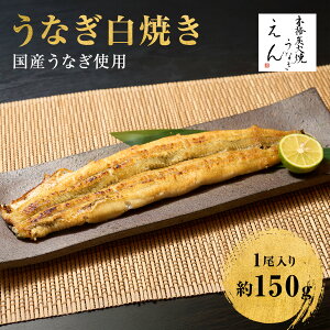 YΏĂȂ Ȃ V Ă Ă Ⓚ Y ꌧ 1 150g Iׂ Mtg N̓ EiM p j aj   v[g O 񂹃O