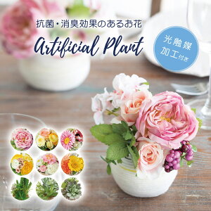 G} A[gt[ C~e[VO[ R L lHϗtA tFCNO[ 킢 ԑ   v[g CeA