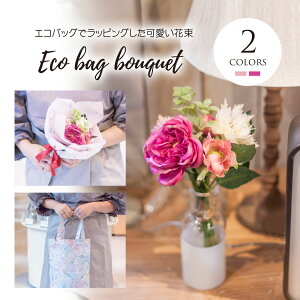 tFCNt[ lHϗtA KN K[f[Y [Y    GRobO Mtg v[g bZ[W 蕨 ̓ a ~jMtg CeA