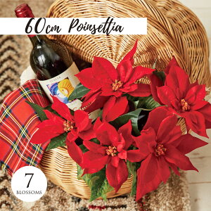 ϗtA |CZ`A ́X NX}X   I[ig tFCNO[ lHϗtA  c[ Xܑ CeA