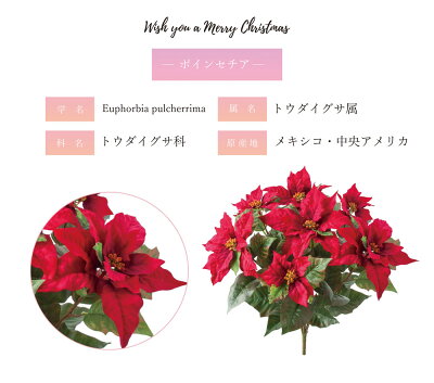 楽天市場 最大1500円offクーポン 観葉植物 ポインセチア 猩々木 クリスマス 造花 飾り オーナメント フェイクグリーン 人工観葉植物 おしゃれ ツリー 店舗装飾 インテリア Doublew
