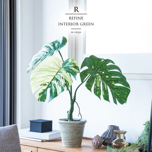 ϗtA tFCNO[ lHϗtA Xe oGK[^   c[ Xܑ t ^ 65cm CeA