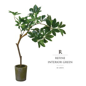 楽天市場 シェフレラ 花 観葉植物 花 ガーデン Diy の通販 楽天市場 シェフレラ 花 観葉植物 花 ガーデン Diy の通販