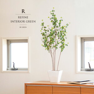 ϗtA tFCNO[ lHϗtA xW~ obN|bg  |bg   c[ Xܑ t O[ 100cm CeA