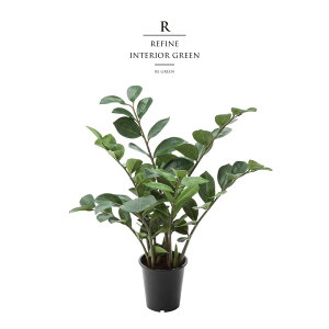 ϗtA tFCNO[ lHϗtA [~tHA   c[ Xܑ ^ t 57cm CeA