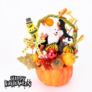 pvLt|bgAW   fBXvC S[Xg IuWF u nEB[ pvL|bg nEB HALLOWEEN Xܑ fR[V 킢  pvL 