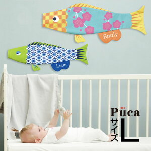 ̂ڂ ̂ڂ     킢 RpNg Pi Puca v[Ĵ̂ڂ OtyLz CeA