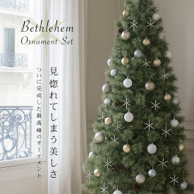 クリスマスツリー ベツレヘムの星 フルセット オーナメント 高級 お洒落 飾り 北欧 オーナメントセット