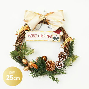 NX}XX[X 25cm [X ~j u   fBXvC CeA fR[V 킢 