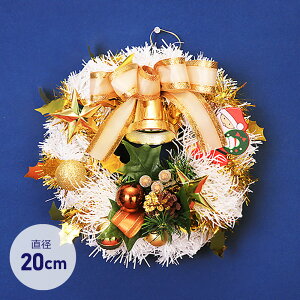 NX}XX[X 20cm [X ~j u   fBXvC CeA fR[V 킢  zCg 