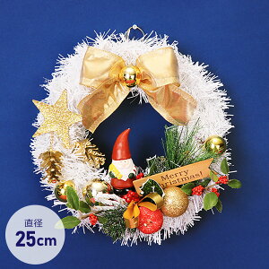 NX}XX[X 25cm [X ~j u   fBXvC CeA fR[V 킢  zCg 