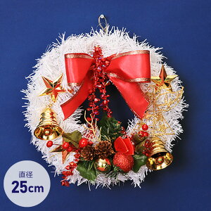 NX}XX[X 25cm [X ~j u   fBXvC CeA fR[V 킢  zCg 