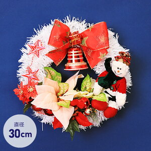 NX}XX[X 30cm [X ~j u   fBXvC CeA fR[V 킢  zCg 