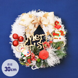 NX}XX[X 30cm [X ~j u   fBXvC CeA fR[V 킢  zCg 