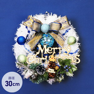 NX}XX[X 30cm [X ~j u   fBXvC CeA fR[V 킢  zCg 