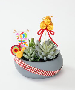    fBXvC IuWF u }t 叼 Xܑ CeA fR[V 킢 ꁚ