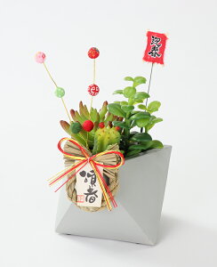    fBXvC IuWF u }t 叼 Xܑ CeA fR[V 킢 ꁚ