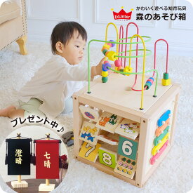 【全品P10倍】知育玩具 おもちゃ 玩具 知育 森のあそび箱 子供 かわいい 男の子 女の子 1歳 1歳半 2歳 3歳 4歳 5歳 型はめ パズル 音楽 楽器 木琴 プレゼント【dik】 インテリア