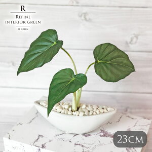 AJVA|bg ϗtA tFCNO[ lHϗtA |bg AJVA   c[ JtF   Xܑ t ^ tFCN O[ 23cm CeA