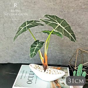 A}]jJ|bg ϗtA tFCNO[ lHϗtA |bg A}]jJ   c[ JtF   Xܑ t ^ tFCN O[ 31cm CeA