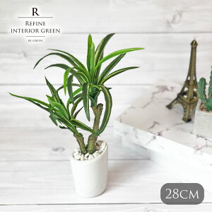 XbJI[o|bg ϗtA tFCNO[ lHϗtA |bg bJ   c[ JtF   Xܑ t ^ tFCN O[ 28cm CeA