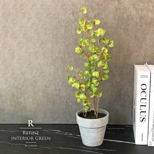 tBJXV^VI xW~ 37cm lHϗtA tFCNO[ u ~j  A[g 킢  c[ Xܑ tFCN O[  CeA