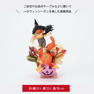 nEB   fBXvC u nEB[ Xܑ fR[V 킢  S[Xg pvL ڂ ΂ H CeA