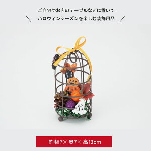 nEB   fBXvC u nEB[ Xܑ fR[V 킢  S[Xg pvL ڂ ΂ H CeA