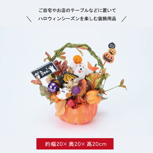 nEB   fBXvC u nEB[ Xܑ fR[V 킢  S[Xg pvL ڂ ΂ H CeA