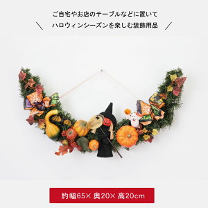 nEB   fBXvC u nEB[ Xܑ fR[V 킢  S[Xg pvL ڂ ΂ H CeA