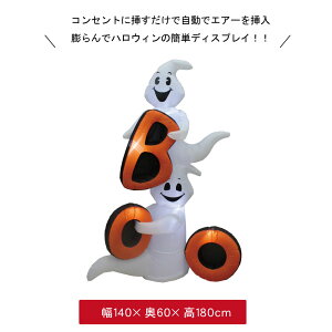 nEB   fBXvC u nEB[ Xܑ fR[V 킢  S[Xg pvL ڂ ΂ H CeA