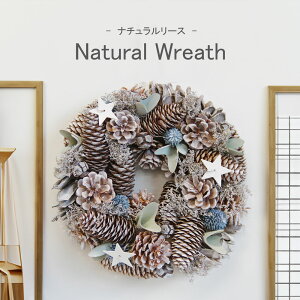 NX}X[X  k  i` 24cm RpNg Mtg  NX}Xv[g X  CeA