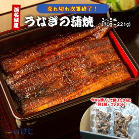 【訳あり ★なくなり次第終了★】在庫処分 蒲焼 肝 うなぎ 70g～200g 3尾 4尾 5尾 タレ お中元 お歳暮 ウナギ 鰻 国産 丑の日 送料無料 浜名湖産 浜名湖 冷凍 60代 70代 美容 お歳暮 お中元 父の日 母の日 敬老の日 ギフト
