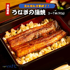 【訳あり ★なくなり次第終了★】在庫処分 蒲焼セット 蒲焼 うなぎ 90g タレ ウナギ 鰻 国産 丑の日 送料無料 浜名湖産 浜名湖 冷凍 60代 70代 美容 お歳暮 お中元 父の日 母の日敬老の日 ギフト