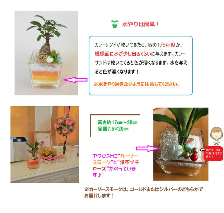 ヤマト レインボーサンド 橙 ガーデニング園芸用品 ダイダイ 内容量 0g 小粒