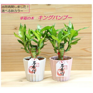 yH[z ֓ Cc LOou[ 2{I dolce ϗtA ~jϗt nChJ`[ _ N| bL[ou[  K̖ ̓ ̓