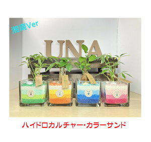 yH[zCcInChJ`[ ~jϗt J[Th Óo[W CSÓh ϗtA   Ă₷ 킢 KW} pL VFt IׂA v[