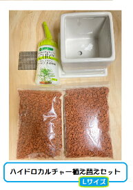 【観葉植物 ハイドロカルチャー 植え替えLセット】 関東送料無料！ 観葉植物 鉢植え 植え替えセット ハイドロカルチャー用 セラミス 鉢底ネット 肥料 ハイポネックス 水耕栽培 陶器鉢スクエア9cm カラーサンド セラミス植え