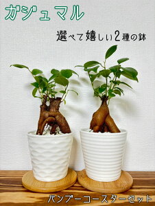 yH[IzCc KW}MS ֓I ϗtA ~jϗt nChJ`[ H[Ǘ LWi[    ܂ Â炵 ̂