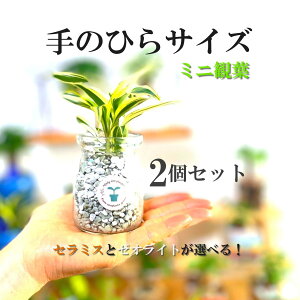 yv`JX^}CYIznChJ`[ 2Zbg ֓ ϗtA S Ă₷ Iׂ [ICg Z~X Ng }O[u TfA[i ArX \ec |V